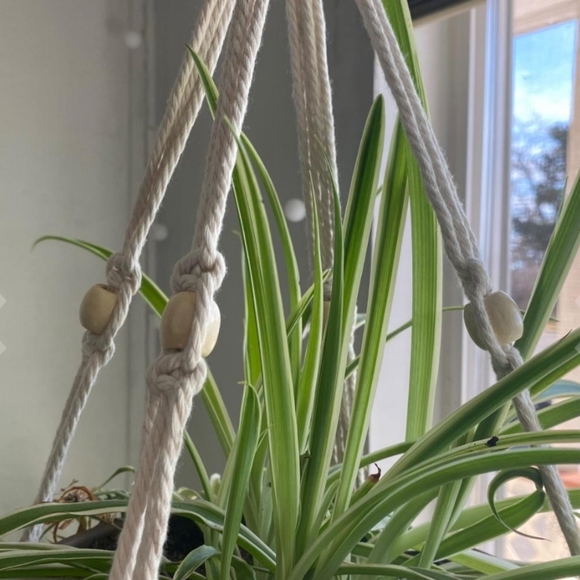 3 Tier 80" Macrame Plant Hanger Holder Flower Pot - Picture 7 of 9